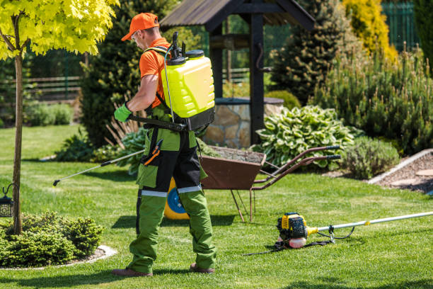 Best Indoor Pest Control  in Dearborn Heights, MI